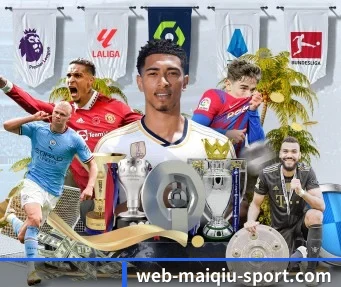 m.web-maiqiu-sport.com APP